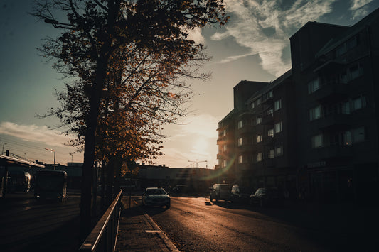 3. Nordic Essential (Desktop & Mobile) by KarloClicks