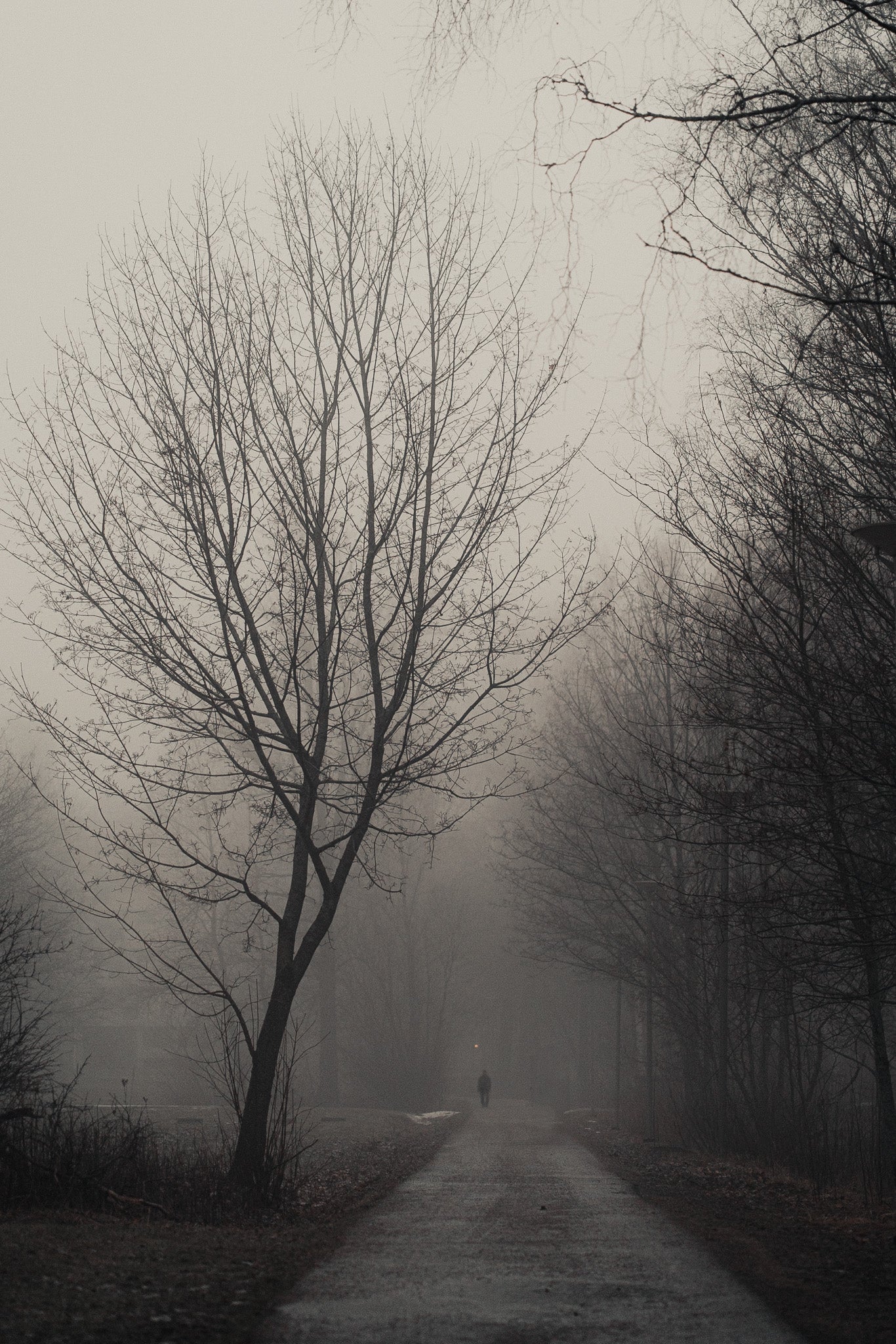 1. The Nordic Preset Collection (Desktop & Mobile)_The Complete Preset Pack by KarloClicks