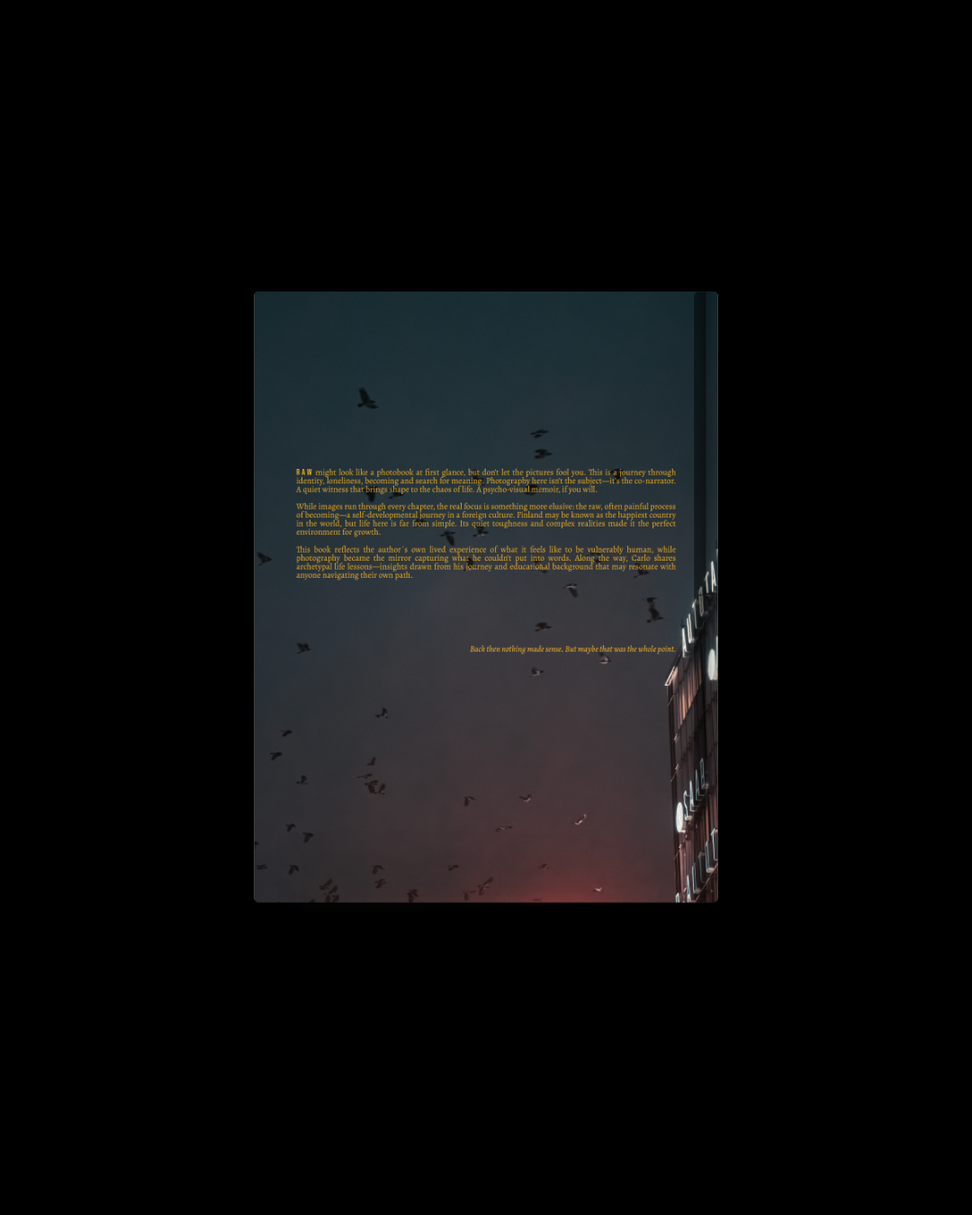 5. Photobook RAW — My Life Journey Through the Finnish Darkness (Hardcover)